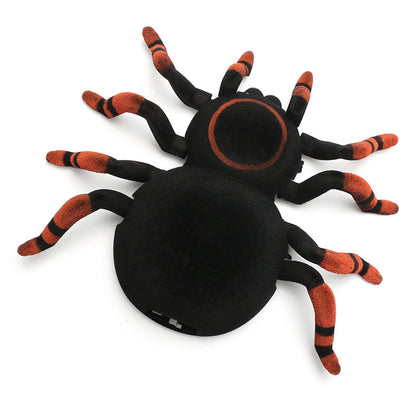 Remote control Spider small