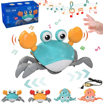 Dancing Crab