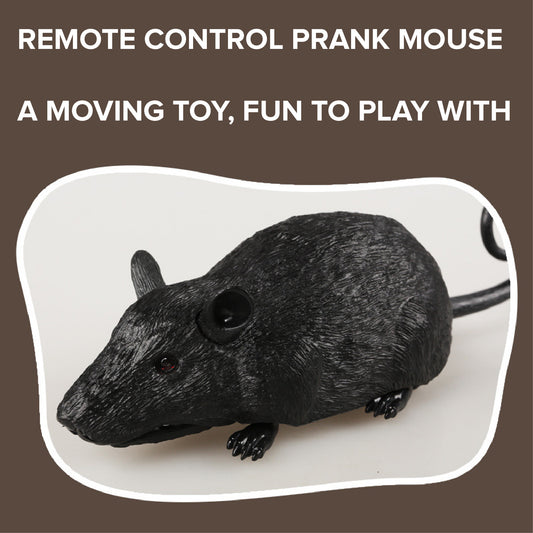 RC control Mice toy